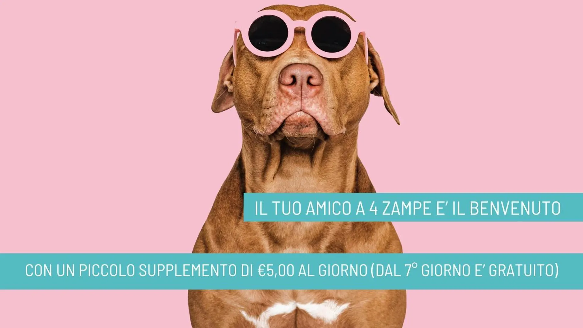 Hotel B&B Nizza Riccione Włochy